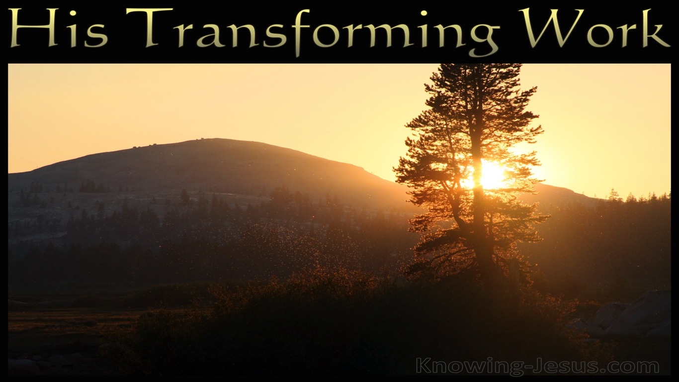 His Transforming Work (devotional)02-09 (brown)